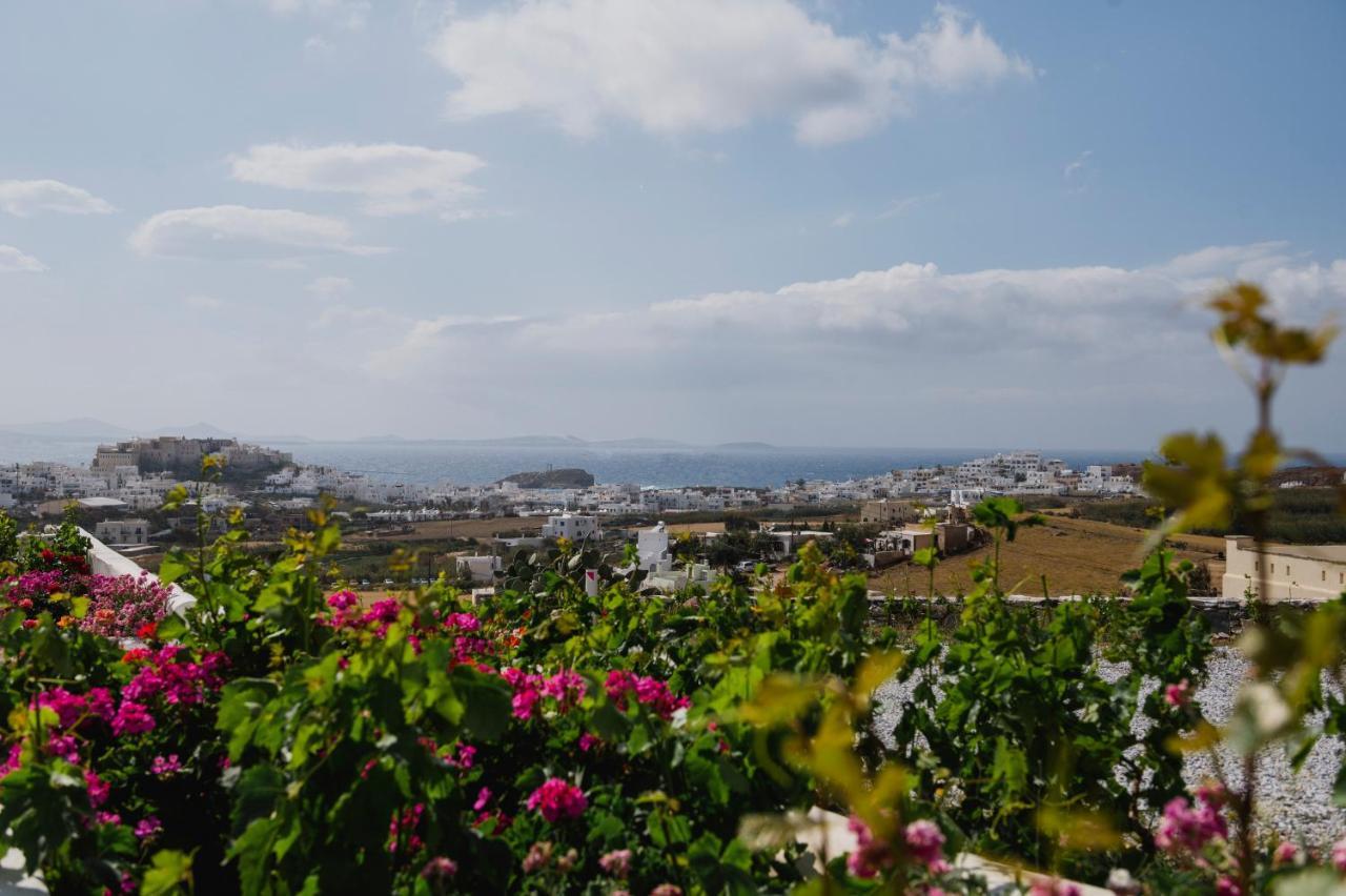 Petros Studios & Suites Naxos City Buitenkant foto